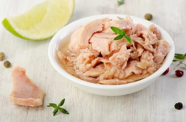 تصویر 2 از قیمت خرید تن ماهی شفا چابهار + فروش ویژه